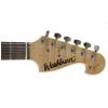 Washburn X9-CM elektrick kytara