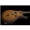 Prs Se Standard 24 Ts