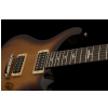 Prs Se Standard 22 Ts