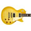 Epiphone Les Paul Standard Plus TA elektrick� kytara
