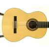 Baton Rouge LM5 SM58 klasick kytara
