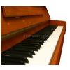 AN T.Piano Up 113 piano