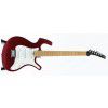 Parker P-30 CH elektrick kytara