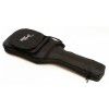 Parker P-30 CH elektrick kytara