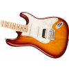 Fender American Pro Stratocaster HSS