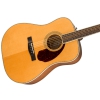 Fender PM-1 Standard Dreadnought  elektricko-akustick kytara