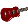 Fender Venice Cherry