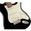  Fender American Pro Stratocaster RW Black elektrick kytara