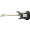 Fender Eric Clapton Stratocaster MN Pewter elektrick kytara