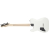  Fender Jim Root Telecaster Ebony Fingerboard, Flat White elektrick kytara