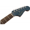 Fender Newporter Classic Hrm