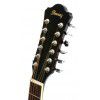 Ibanez SGT122NT akustick kytara