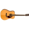 Fender PM-1 Standard Dreadnought  elektricko-akustick kytara