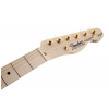 Fender James Burton Telecaster ML Blue Paisley elektrick kytara