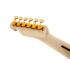 Fender Richie Kotzen Telecaster Maple Fingerboard Brown Sunburst elektrick kytara