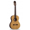 Alhambra Iberia Ziricote klasická kytara