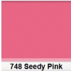 Lee 748 Seedy Pink filtr