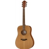 Baton Rouge AR11C/D akustick kytara