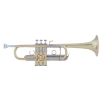 Vincent Bach AC190