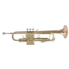 Vincent Bach LR180-43G