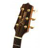 Takamine G340 akustick kytara