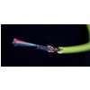DJ TECHTOOLS Chroma Cable kabel USB 1.5m amany (czerwony)