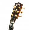 Gibson Songwriter Deluxe AN elektricko-akustick kytara