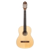 Ortega R121SN-L