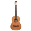 Ortega R200-L