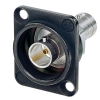 Neutrik NBB75DFGB Grounded BNC chassis connector, feedthrough in black D-shape housing