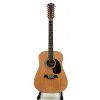 T.Burton Passage W N 12 strun akustická kytara T.Burton Passage W N 12 strun akustická kytara