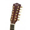T.Burton Passage W N 12 strun akustická kytara T.Burton Passage W N 12 strun akustická kytara