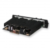 Synergy Amps Friedman Be