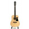 Ibanez V7012 NT akustick kytara