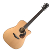 Furch Blue DC CM LR Baggs SPE