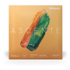 D′Addario Ascente A410MM Medium Scale viola strings