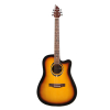 Flycat C100 TSB akustick kytara
