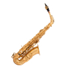 Arnolds&Sons AAS 110 Alto saxofon