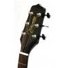Takamine EG531SC elektricko-akustick kytara