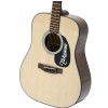 Takamine G320 DRD NAT akustick kytara