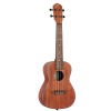 Ortega Bonfire Series RU4MM concert ukulele