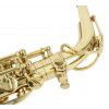 Roy Benson AS-302 altov saxofon