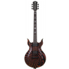 Schecter Wylde Audio Heathen Grail Gloss Black Blizzard electric guitar