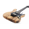 Schecter Sun Valley Super Shredder Exotic FR Black Limba  electric guitar