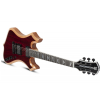 Schecter Wylde Audio Nomad Cocobolo  electric guitar