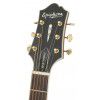 Epiphone AJ500 RE elektricko-akustick kytara