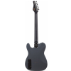 Schecter 2148 PT EX Dorian Grey