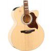 Takamine EG523SC elektricko-akustick� kytara