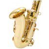 Roy Benson SS-115 soprnov saxofon