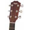 Taylor 214 CE elektricko-akustick kytara